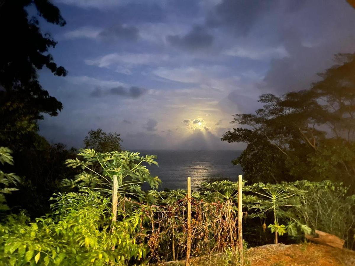 Hostal Doble Vista Capurganá المظهر الخارجي الصورة