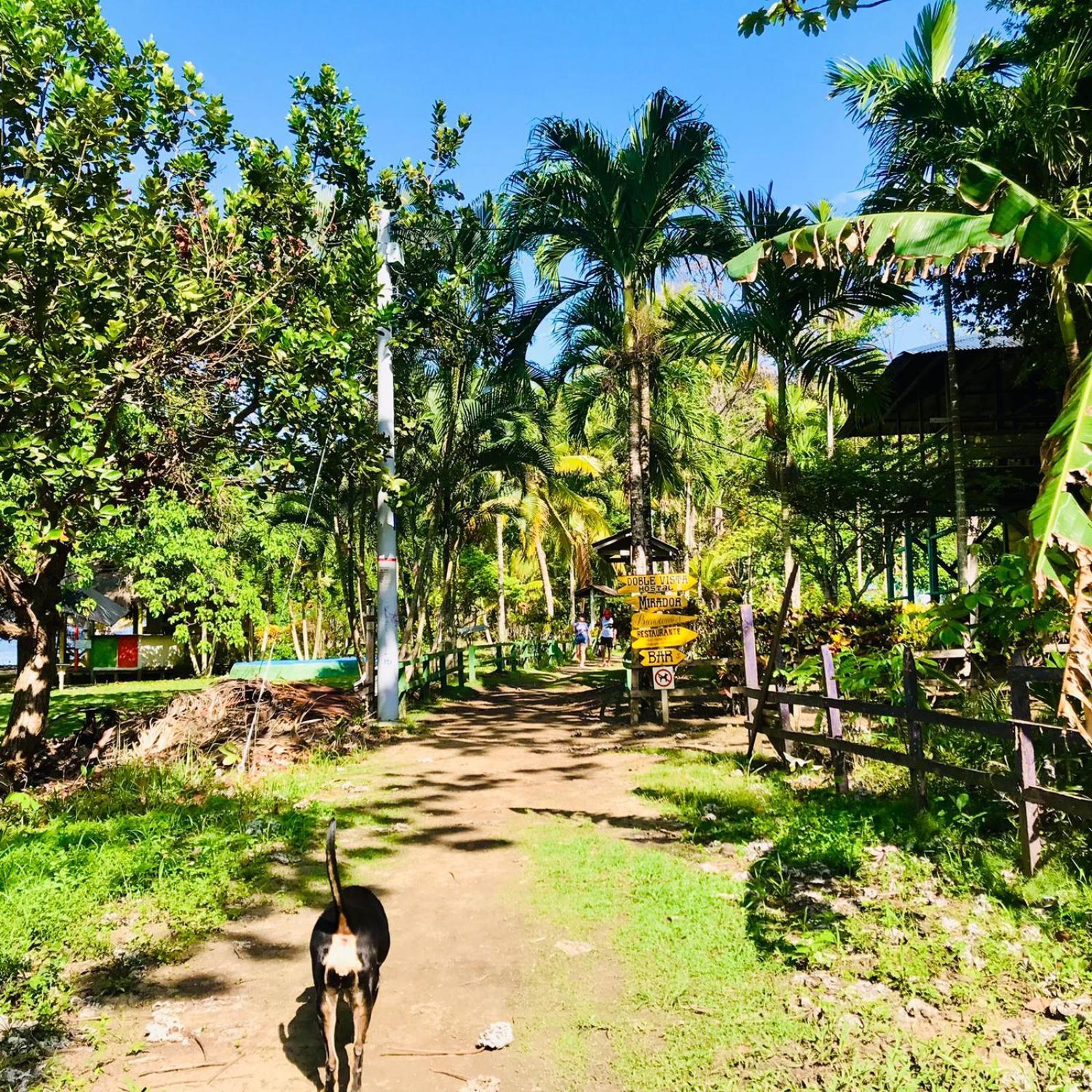 Hostal Doble Vista Capurganá المظهر الخارجي الصورة